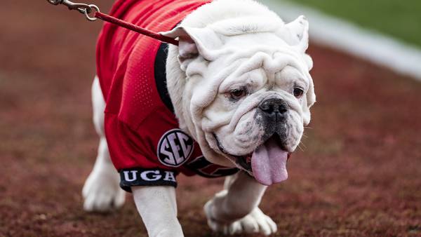 PETA’s controversial post about passing of Uga X causes huge uproar on social media