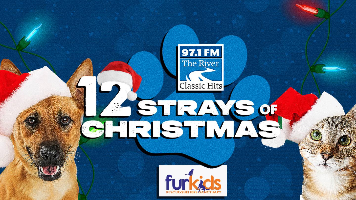 Meet the 12 Strays of Christmas 97.1 The River