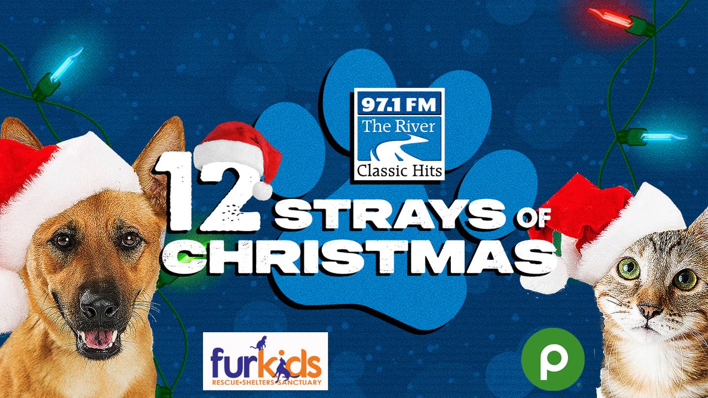 Meet the 12 Strays of Christmas Presented by Publix 97.1 The River