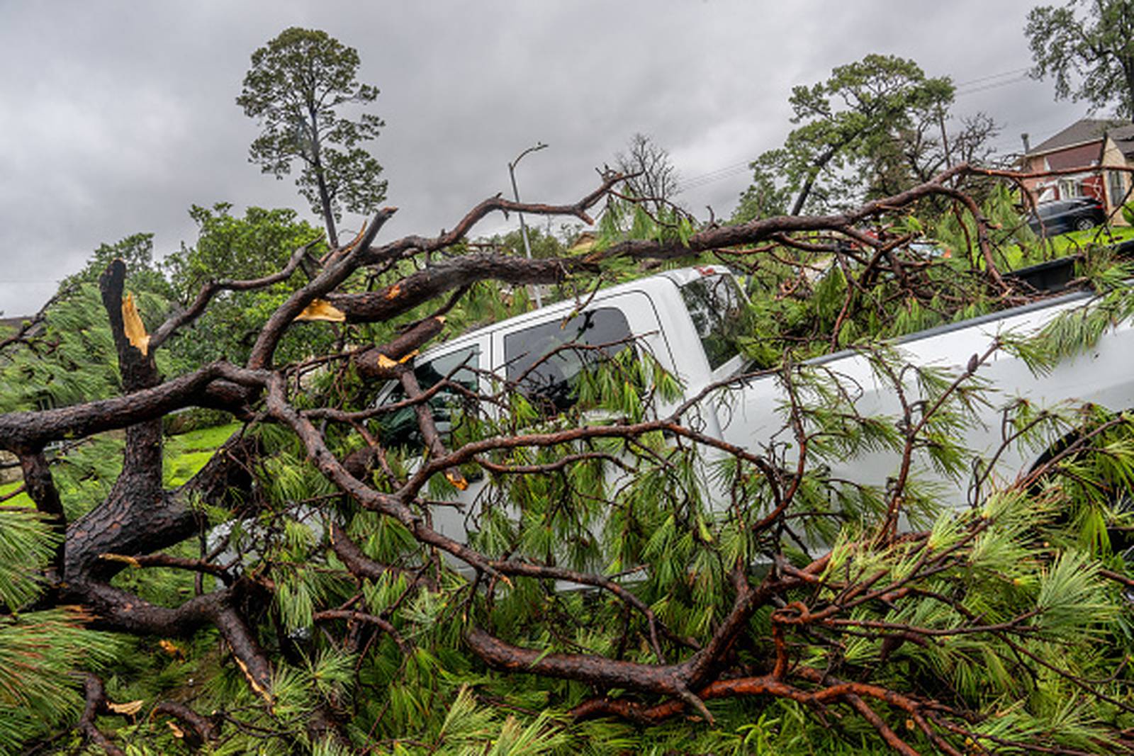 Hurricane Beryl victims use Whataburger app to track power outages 97