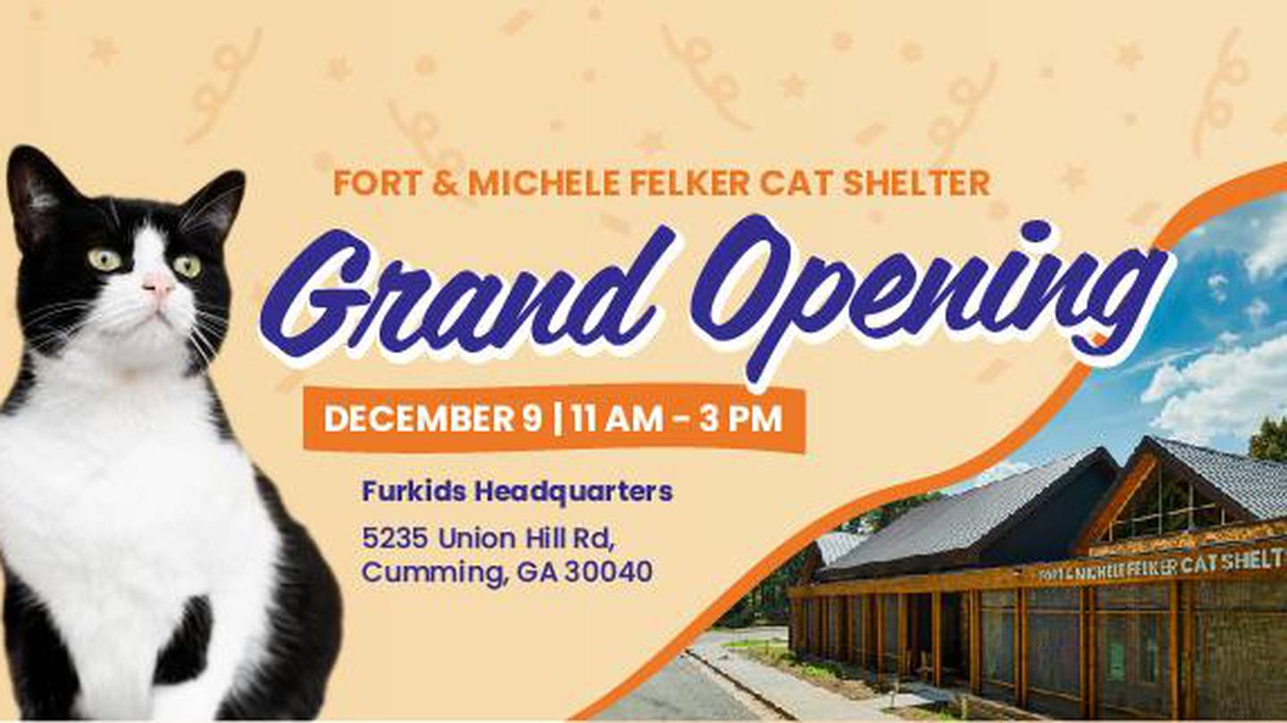 Furkids Cat Shelter Grand Opening with Kaedy Kiely