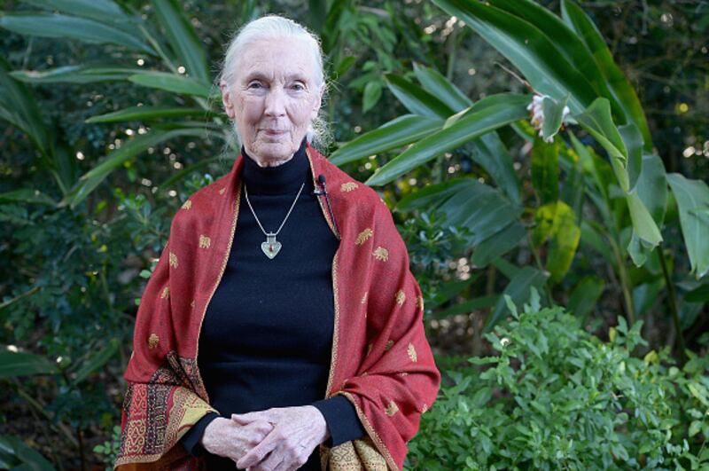 Dr. Jane Goodall