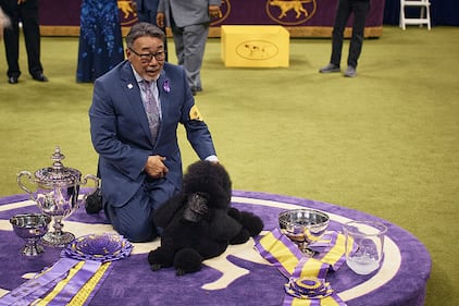 Westminster Kennel Club