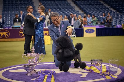 Westminster Kennel Club