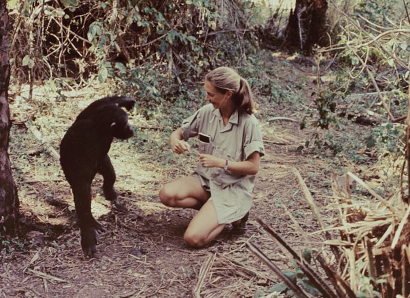 Dr. Jane Goodall