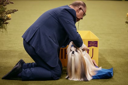 Westminster Kennel Club